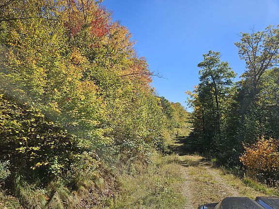 3rd image of 0 Canton Mountain Road