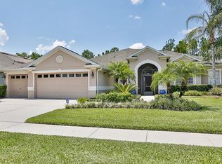 11739 Newberry Grove Loop, Riverview, FL 33579