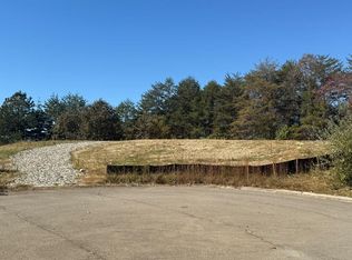 11 Lindsey Ln, Blue Ridge, GA 30513