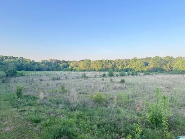 40 Page Creek Rd #1, Wilsonville, AL 35186