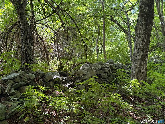 3rd image of 121 Walker Road