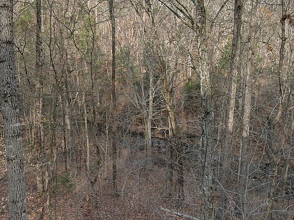 24th image of this home