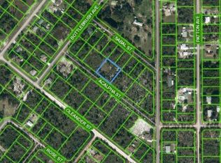 1310 Acalpha St, Lake Placid, FL 33852