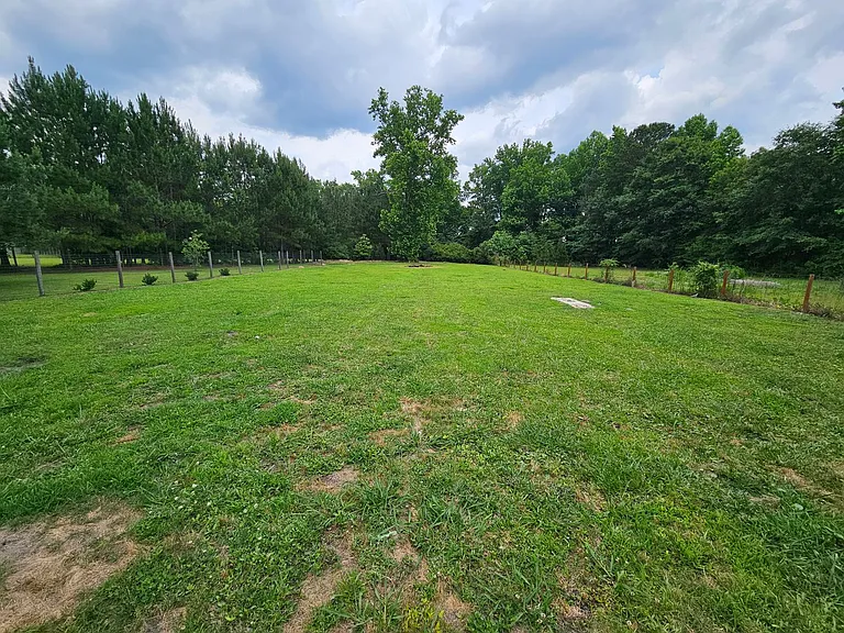 307 Big Tree Ln — Photo 16