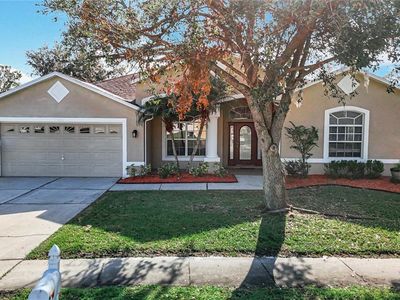 25306 Conestoga Dr, Land O Lakes, FL, 34639