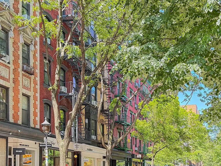 259 Elizabeth St #3D — Photo 7