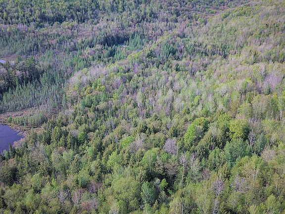 3rd image of Hidden Acres Dr