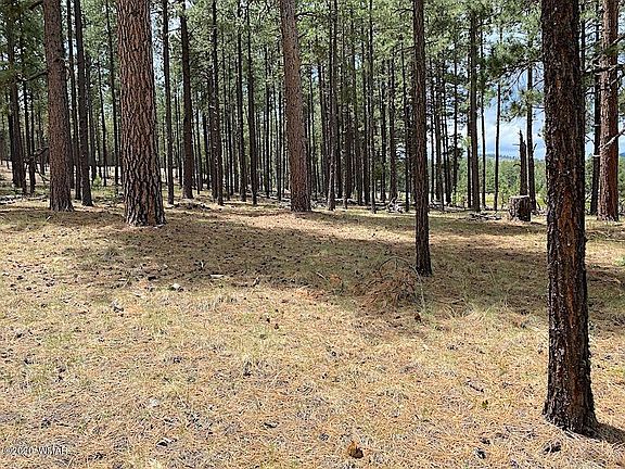4th image of 2 County Road 2266 Dr #2266