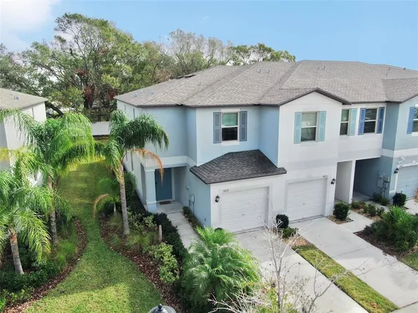 3818 Cat Mint St, Tampa, FL 33619