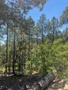 282 Blue Ridge Circle, Bayfield, CO, 81122
