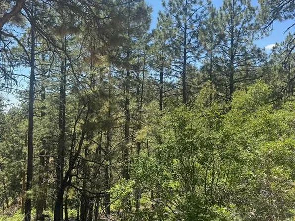 282 Blue Ridge Circle, Bayfield, CO 81122