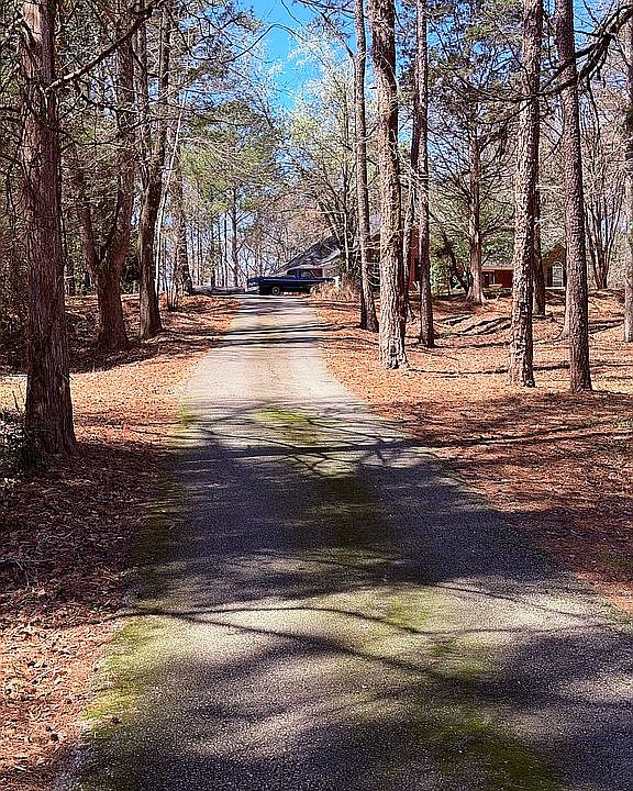 Driveway view