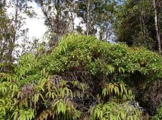 LOT 74, Volcano, HI 96785