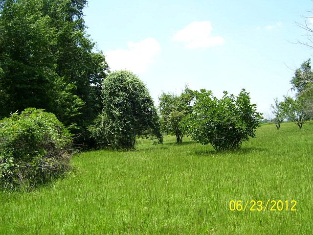 1st image of 189 An County Road 477