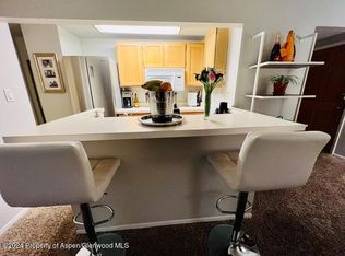 119 E Cooper Ave APT 16, Aspen, CO 81611