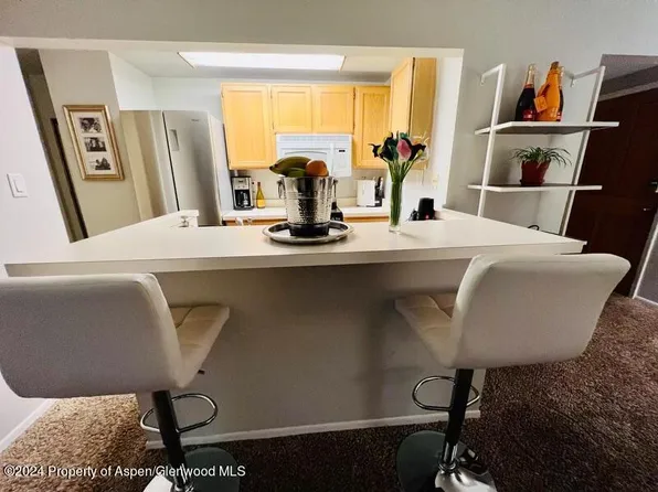 119 E Cooper Ave APT 16, Aspen, CO 81611