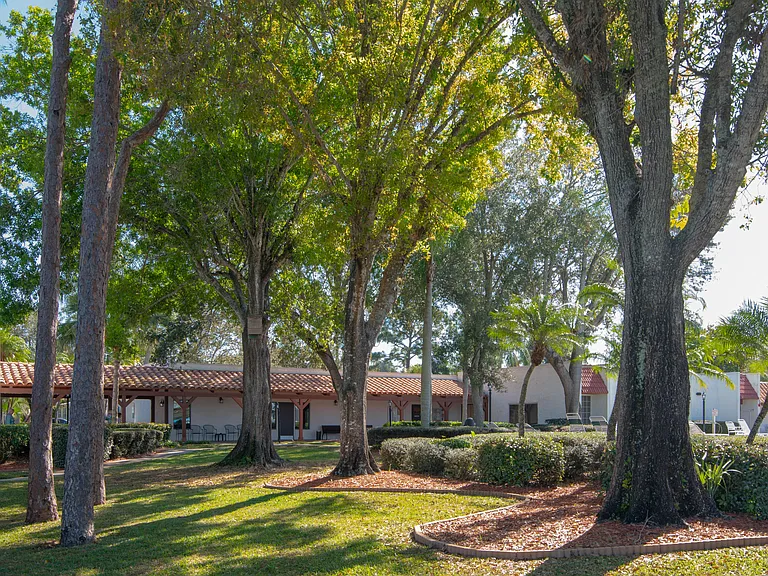 14 Jacaranda Ln — Photo 38
