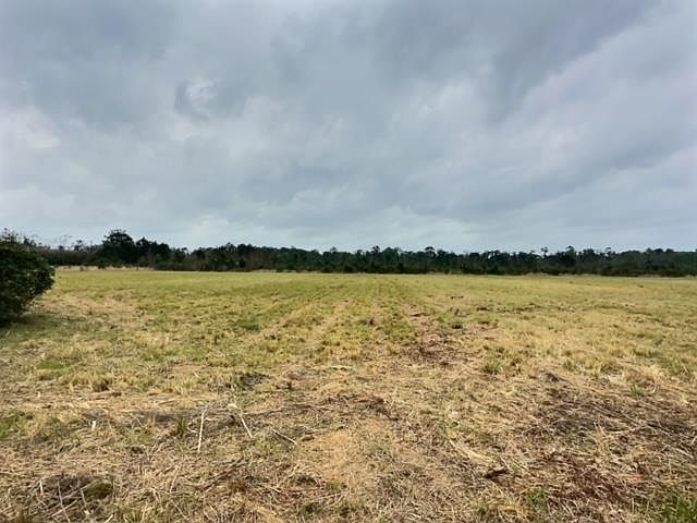 2nd image of Allen Dr