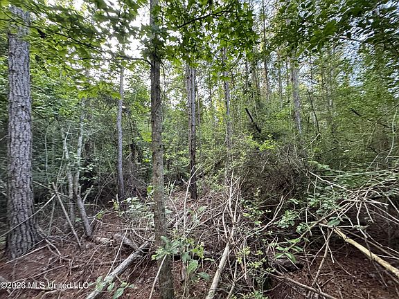 3rd image of N Lot 1 River Rd