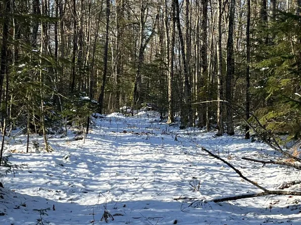 Long Lake Rd, Mellen, WI 54546