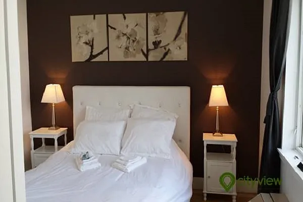 Rented by City View Living | media 44