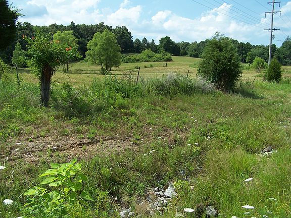 2nd image of 319 State Highway 146 E