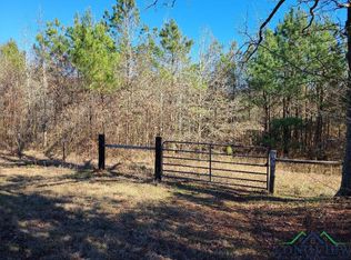 County Road 401 S, Henderson, TX 75654