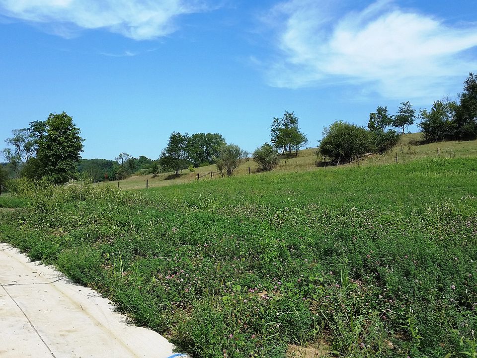 Lot 12
