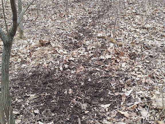 4th image of S6185 Hilltop Ln