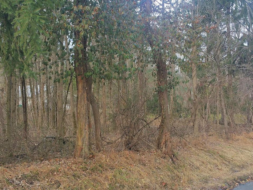 2nd image of 15 Aunt Molly Rd