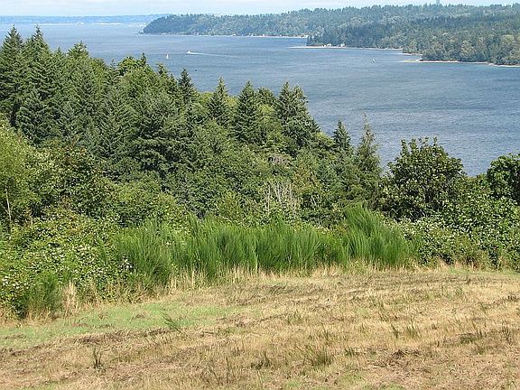 3rd image of 12781 Cove Creek Pl SE
