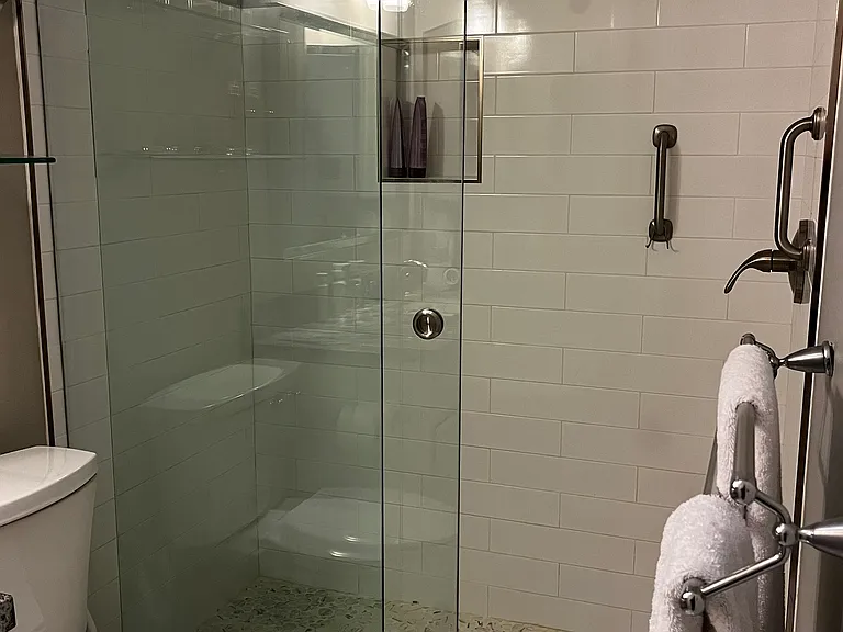 Shower and guest bathroom