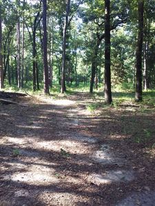 320 Pr #8556, Winnsboro, TX, 75494