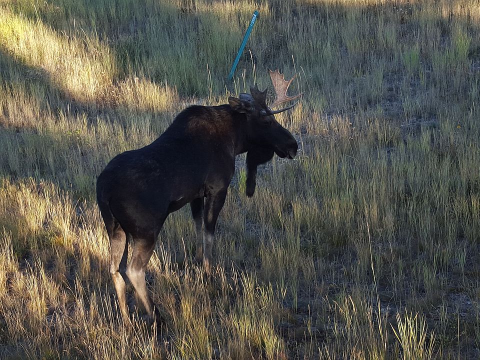 1st image of Tbd Grand County Road 4081