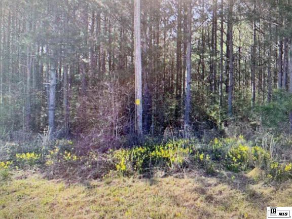 2nd image of 0 Tech Farm Rd