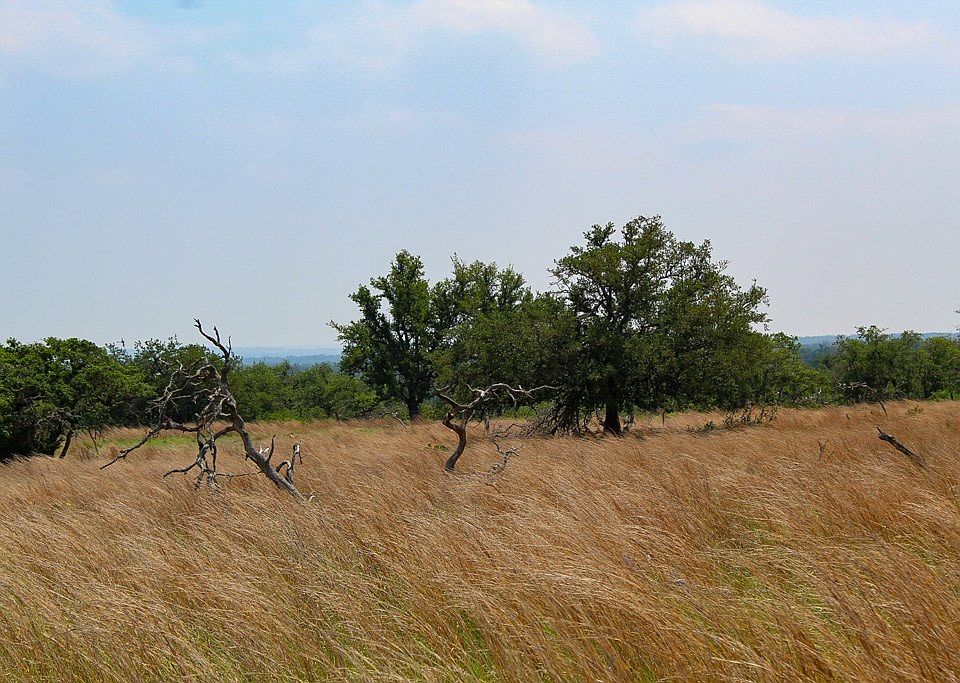 2nd image of 257 Lipan Loop