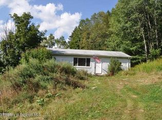 232 Starrucca Creek Rd, Starrucca, PA 18462