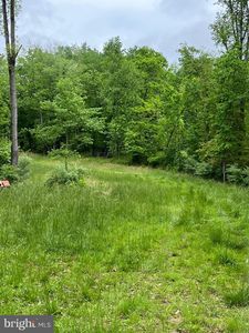 16353 Black Hill Rd, Rixeyville, VA, 22737