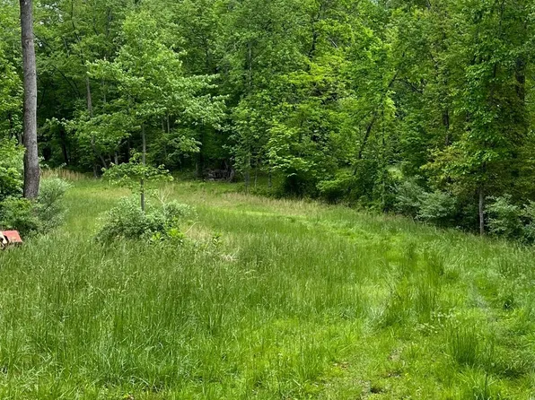 16353 Black Hill Rd, Rixeyville, VA 22737