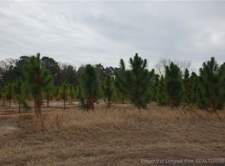 41 Stuarts Mill Rd, Fairmont, NC 28340