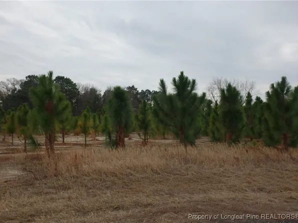 41 Stuarts Mill Rd, Fairmont, NC 28340