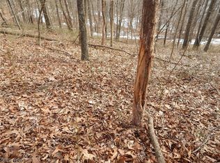 Fingerboard Rd, Big Springs, WV 26137