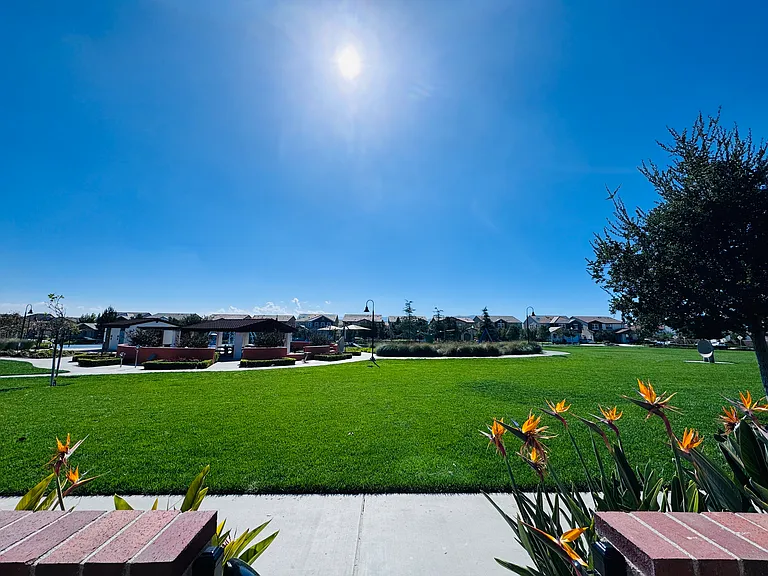 8729 Roving Pl — Photo 12