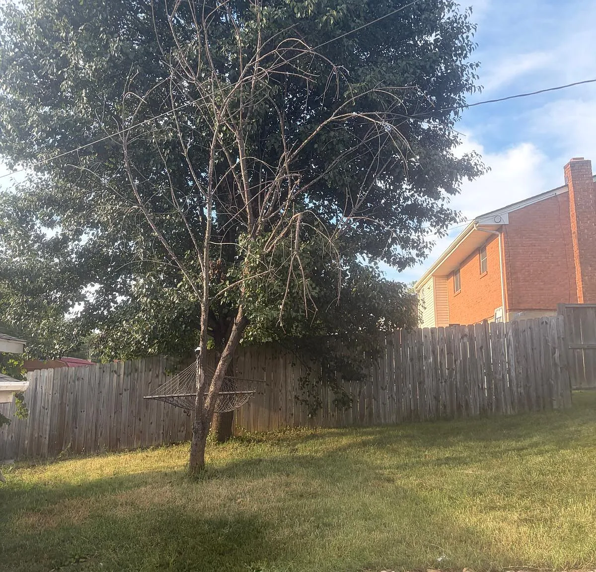2 bed, 1450 sqft, $800 — Photo 4