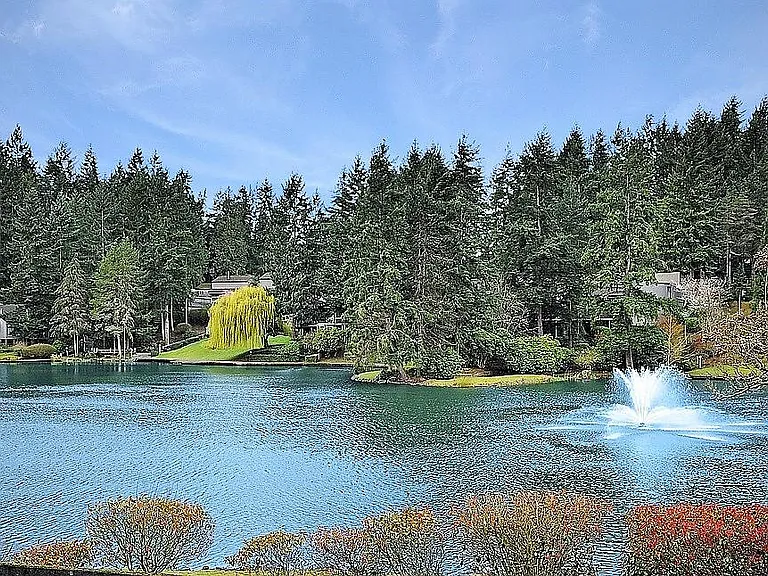 main pond