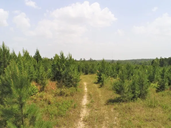 County Road 1095, Kennard, TX 75847