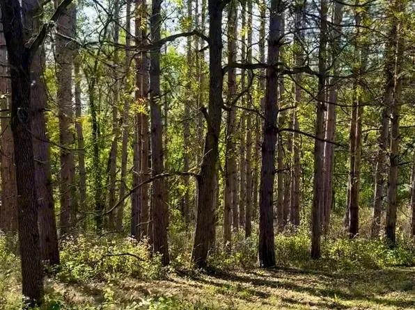 63+/- Acres Blue Mounds Trail, Black Earth, WI 53515