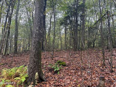 10 Brookside Rd, Peru, MA, 01235