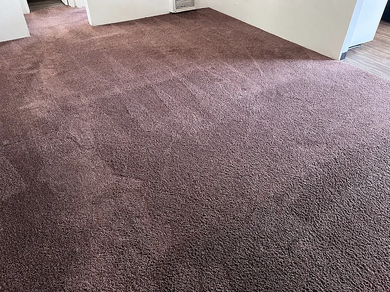 13955 Coteau Dr — Photo 35
