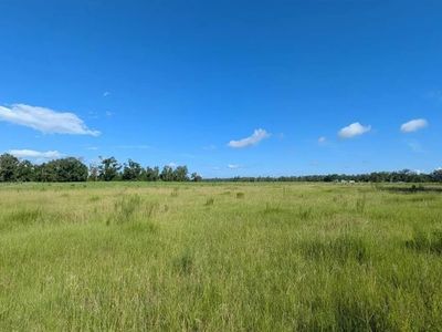 136 Saint, Live Oak, FL, 32060